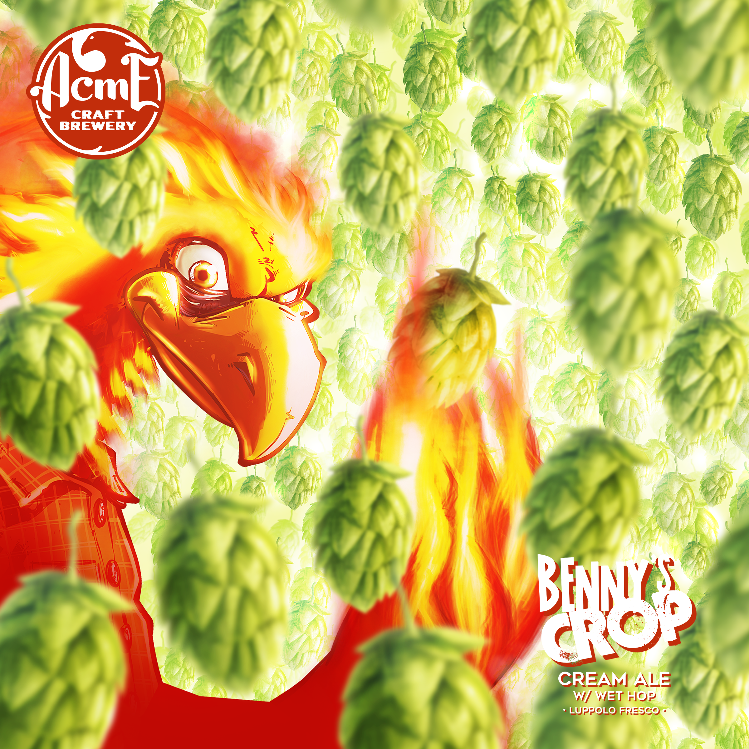 Benny's crop 2024 cream ale wet hop